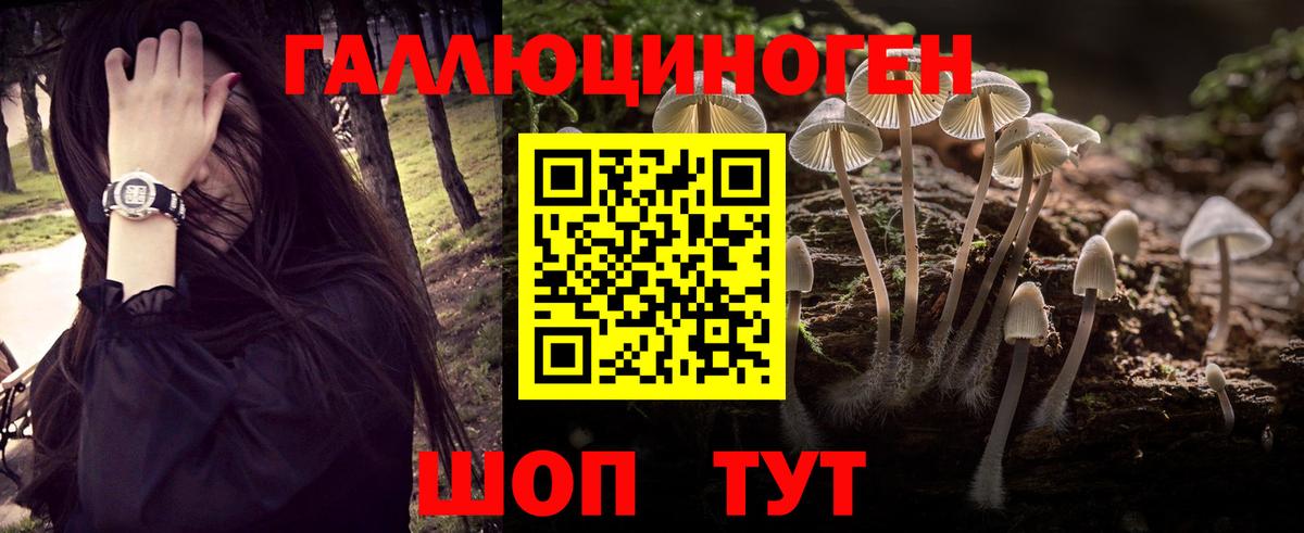 Галлюциногенные грибы Psilocybe  цена наркотик  Улан-Удэ  Вход с VPN 